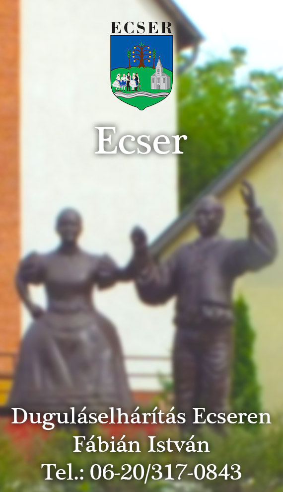 Pest vármegye, Fábián István, duguláselhárítás Ecser, duguláselhárítás Ecseren
