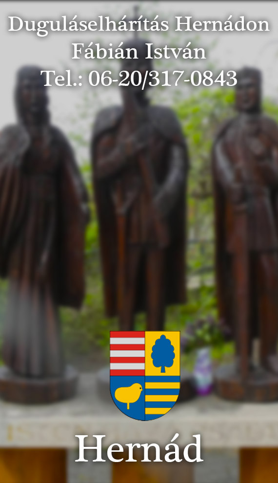 Fábián István, Hernád település, duguláselhárítás Hernád, duguláselhárítás Hernádon